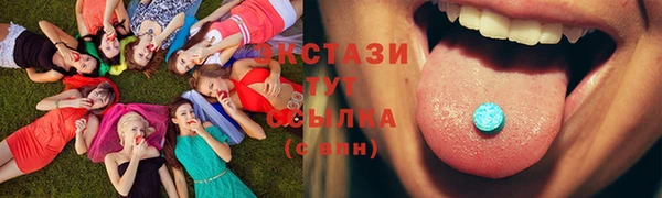 гашик Переславль-Залесский