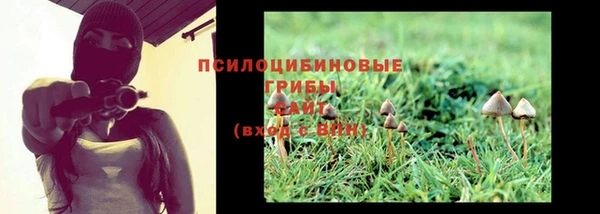 таблы Пестово
