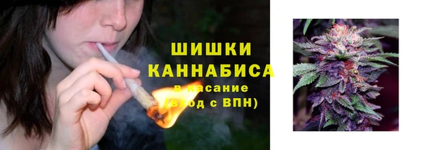 прущие грибы Абдулино