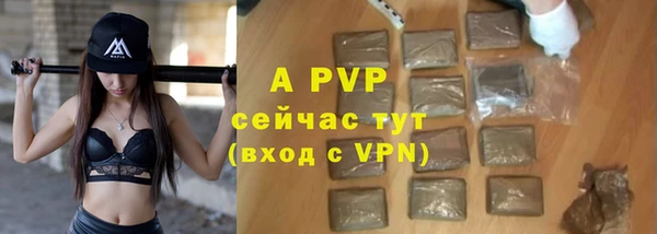 гашик Переславль-Залесский