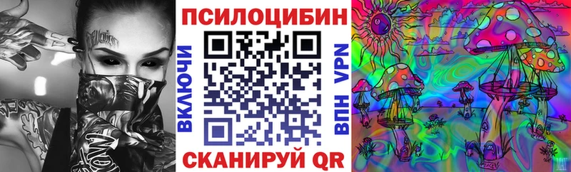 сколько стоит  Кудымкар  Псилоцибиновые грибы Magic Shrooms 